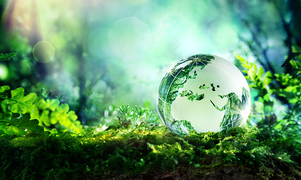 shutterstock_274730429_1000x600-1.jpg