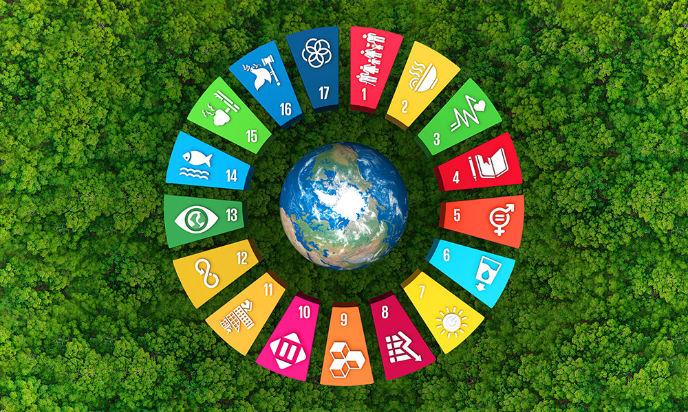UN-Sustainable-Development-Goals_1000x600-1.jpg