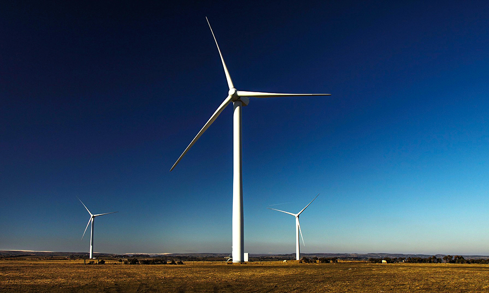 wind-farm_1000x600-2.jpg